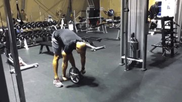 standing ab rollout